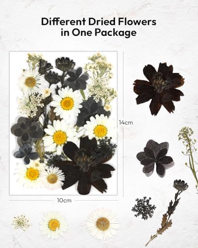 Dried Flowers Pressed Flowers Craft Kit for Scrapbooking DIY