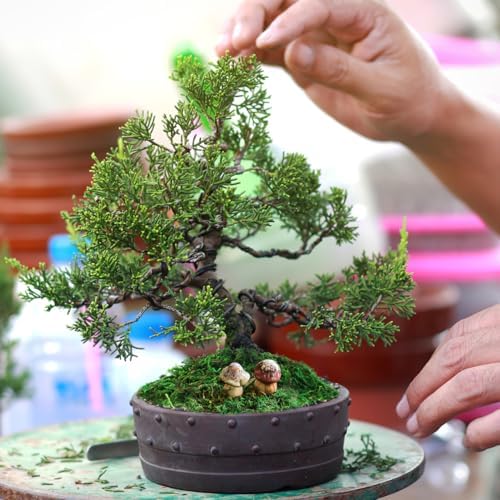 Unomor Artificial Moss for Potted Plants and DIY Crafts