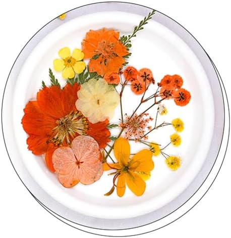 30Pcs Dried Pressed Flowers for Resin Art Crafts