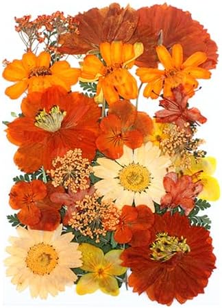 25Pcs Real Dried Flowers for Resin Art Crafts