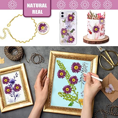 Purple Dried Sunflowers Margarita Daisies for Resin Crafts 60PCS