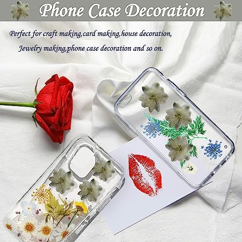 HEISENLIN White Pressed Larkspur Resin Embellishments 60PCS