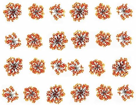 72 pcs 3D Dried Flowers for Nail Art and Resin
