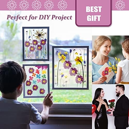 Purple Dried Sunflowers Margarita Daisies for Resin Crafts 60PCS