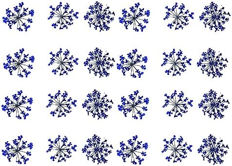 72 Pcs Blue Dried Flowers for Nail Art Resin Decals