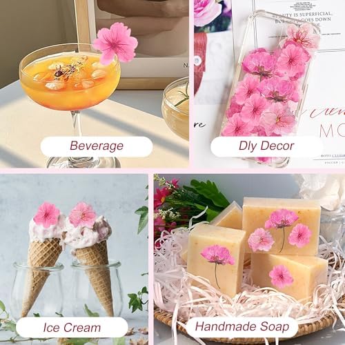48 Pcs Pink Cherry Blossom Dried Pressed Flowers for Crafts