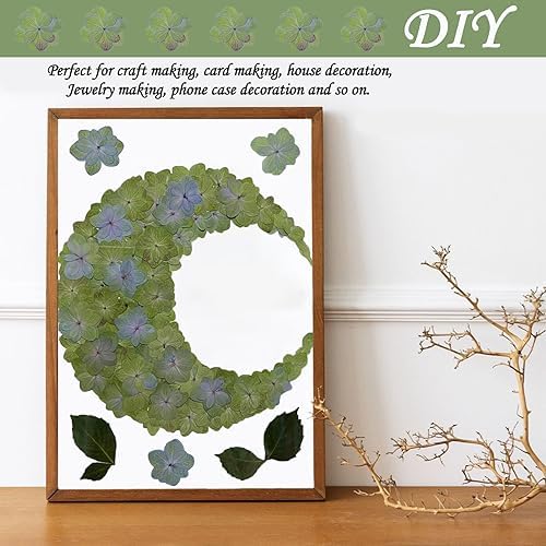60PCS Green Dried Double Hydrangea for Resin Crafts