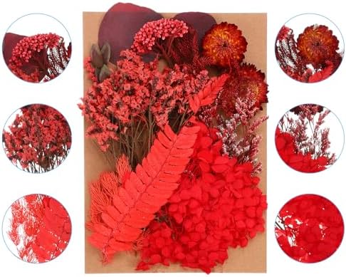 PATIKIL Pressed Flowers for Paper Crafts and DIY Projects