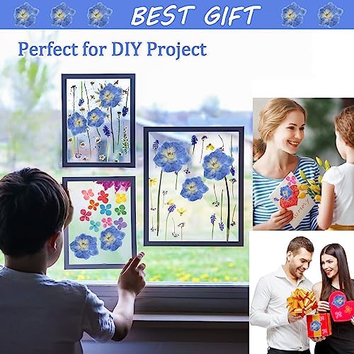 Blue Dried Larkspur Flowers 60PCS for Resin Craft Decor