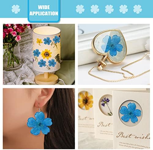Blue Dried Cherry Blossom Flowers for Resin Decor 60PCS