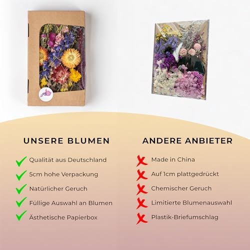 Premium Dried Flowers for Crafts in Eco Paper Box