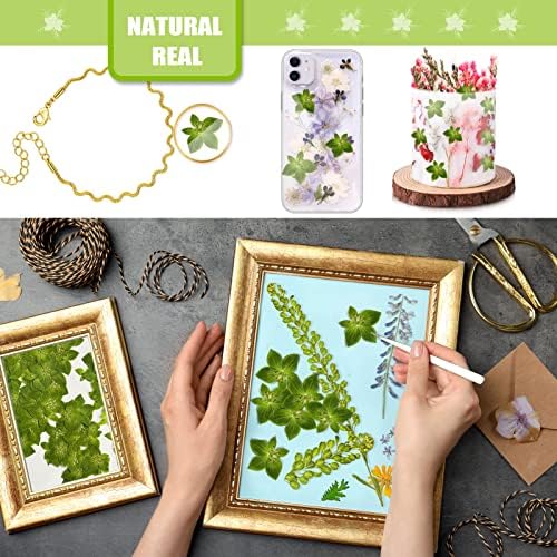 Green Dried Leaves for Resin Crafts 42PCS