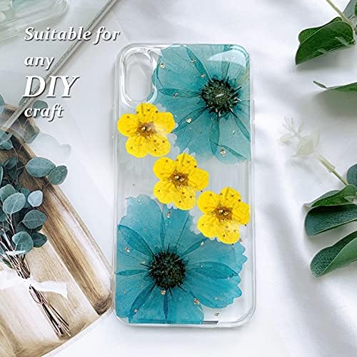 Pressed Dried Flowers 60PCS Yellow Plum Blossom for Resin Crafting and Scrapbooking