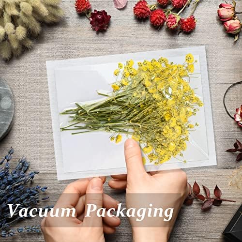 Yellow Natural Dried Gypsophila Flowers for Resin Art 42PCS