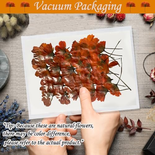 HEISENLIN Orange Dried Cosmos Flowers 42PCS for Resin Jewelry DIY Crafts