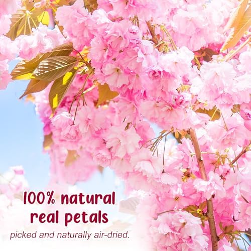 48 Pcs Pink Cherry Blossom Dried Pressed Flowers for Crafts