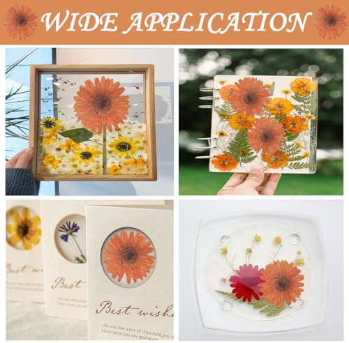ALJ Large Dried Sunflowers for Resin Crafts Embellishment