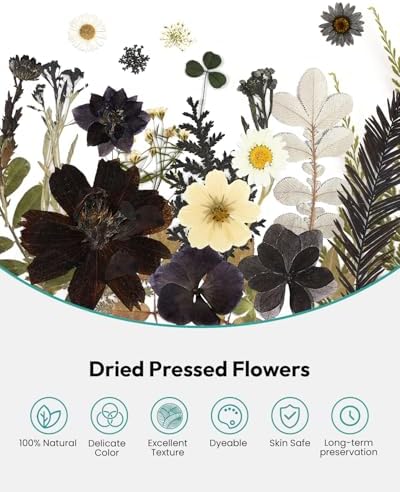 Dried Flowers Pressed Flowers Craft Kit for Scrapbooking DIY