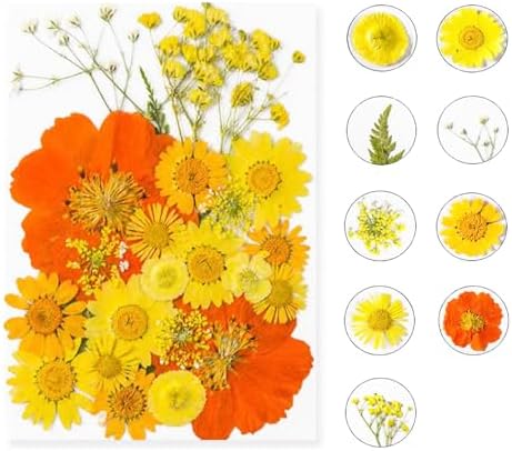 Dried Pressed Flowers for Resin and Crafts Orange