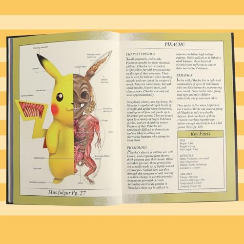 Pokenatomy Envelopes Binder for Christmas Birthday Gifts