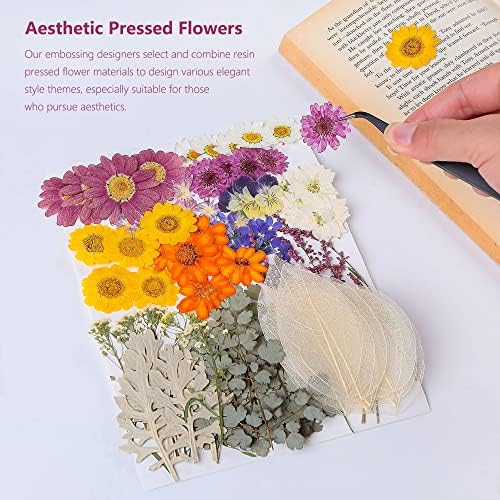 100 PCS Real Dried Pressed Flowers Leaves for Resin Jewelry Crafting - Purple