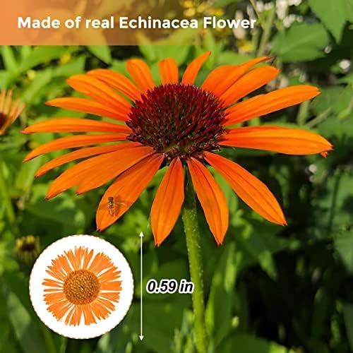 60PCS Dried Chrysanthemum Flowers for Resin Crafts