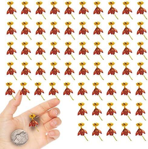 Dried Flowers Dancing Flower with Stem for Resin Crafts 60PCS
