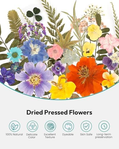 Resiners 174Pcs Dried Flowers Pressed for Crafts