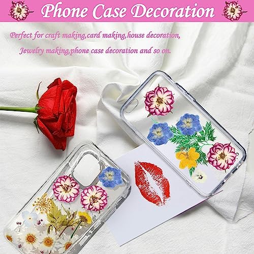 Natural Dried Two-Tone Rose Flowers for Resin Crafts