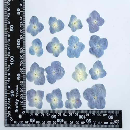 48 Pcs Dried Pressed Flowers for Resin DIY Art Crafts