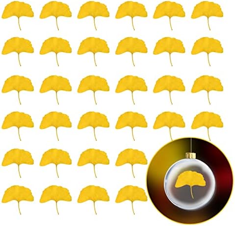 Yellow Dried Ginkgo Leaves for Resin Jewelry and Decor