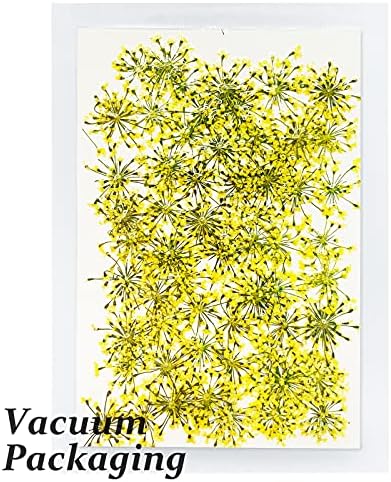 HEISENLIN Dried Gypsophila Flowers for Crafts and Artwork