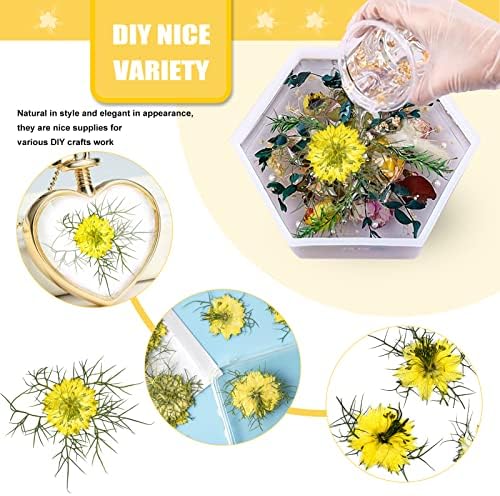 60PCS Yellow Pressed Flowers for Resin Crafts