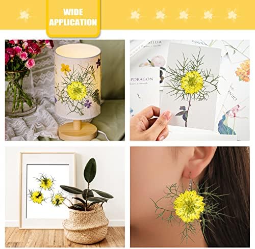 60PCS Yellow Pressed Flowers for Resin Crafts