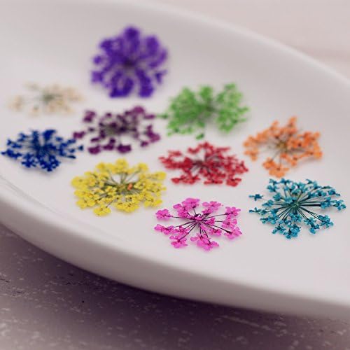 72 pcs 3D Dried Flowers for Nail Art and Resin