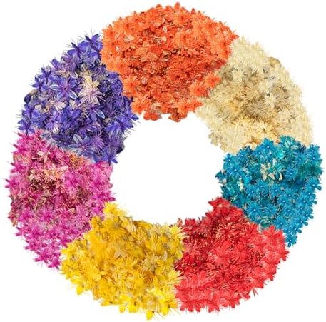 84 Pcs Dried Pressed Flowers for Resin Art DIY Crafts