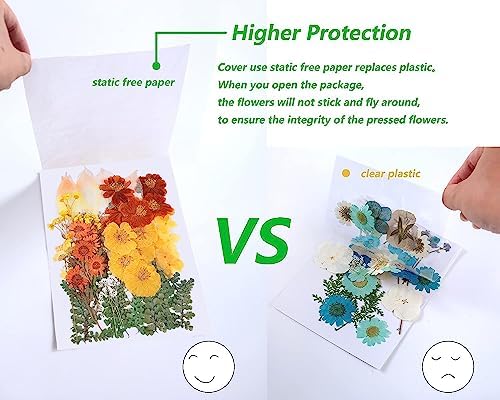 AHTONG 100 PCS Real Dried Flowers Leaves Natural Plant Herbarium - Fall Yellow Orange