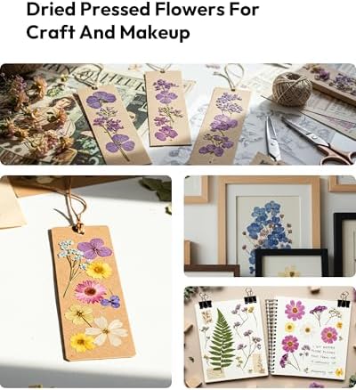 58 Pcs Dried Flowers Pressed Flowers Craft Kit