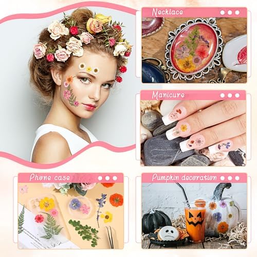 eBoot 72 Pcs Dried Pressed Flowers for Craft Projects