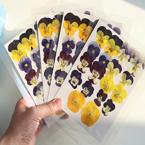 54 Pcs Dried Pressed Purple Pansy Flowers Resin Art Crafts