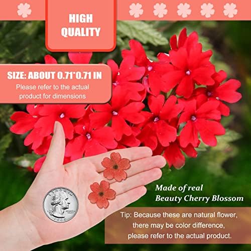 Red Dried Cherry Blossom Flowers for Resin Crafts 60PCS