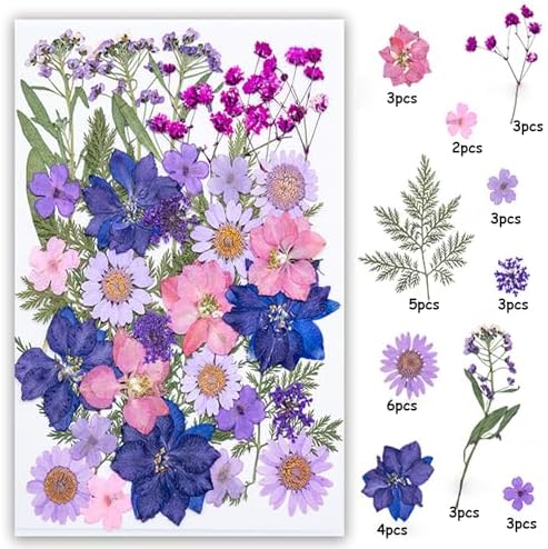 35Pcs Dried Pressed Flowers for Resin DIY Art Crafts