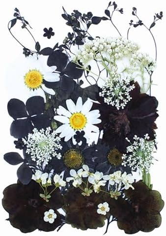 30Pcs Dried Pressed Flowers for Resin Art Crafts Decor