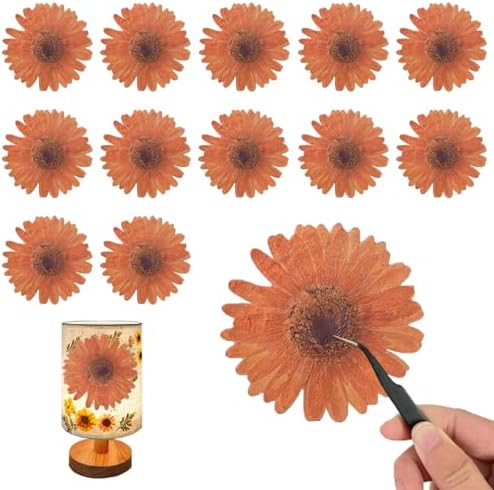 ALJ Large Dried Sunflowers for Resin Crafts Embellishment