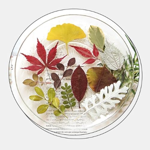 35 Pcs Dried Flowers Leaves for Crafts Resin Art DIY