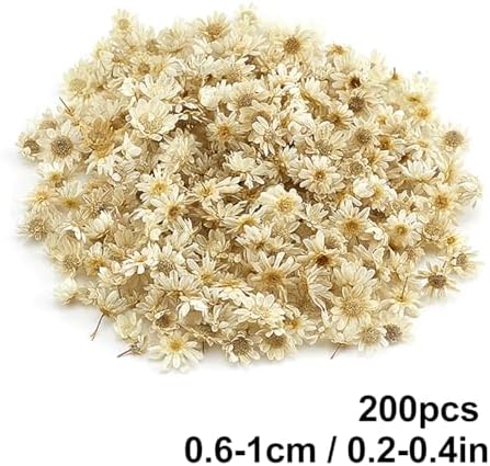 Queenbox 200pcs Mini Star Daisy Dried Flowers for DIY Wedding Confetti