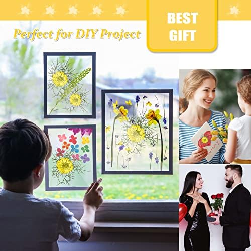 60PCS Yellow Pressed Flowers for Resin Crafts