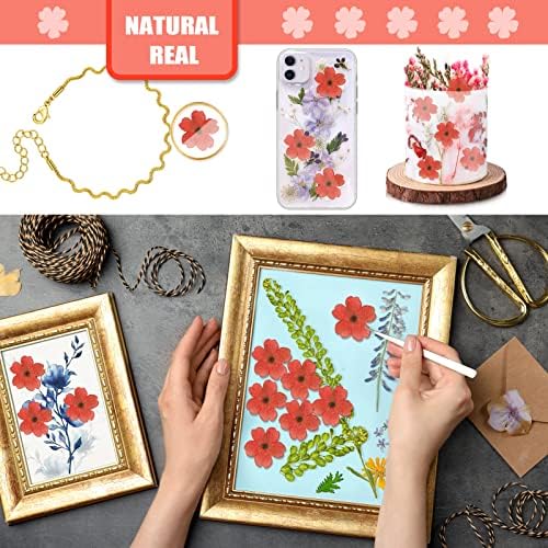 Red Dried Cherry Blossom Flowers for Resin Crafts 60PCS