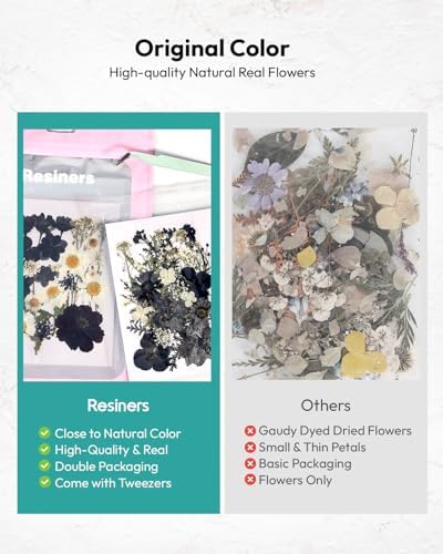 Dried Flowers Pressed Flowers Craft Kit for Scrapbooking DIY