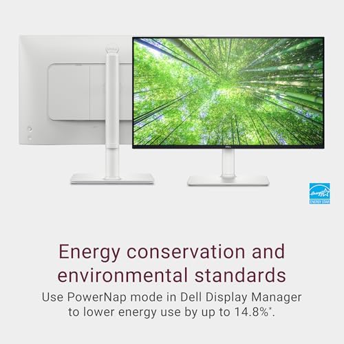 Dell S2425HS Monitor 238 Inch FHD 100Hz 4 Star Eye Comfort